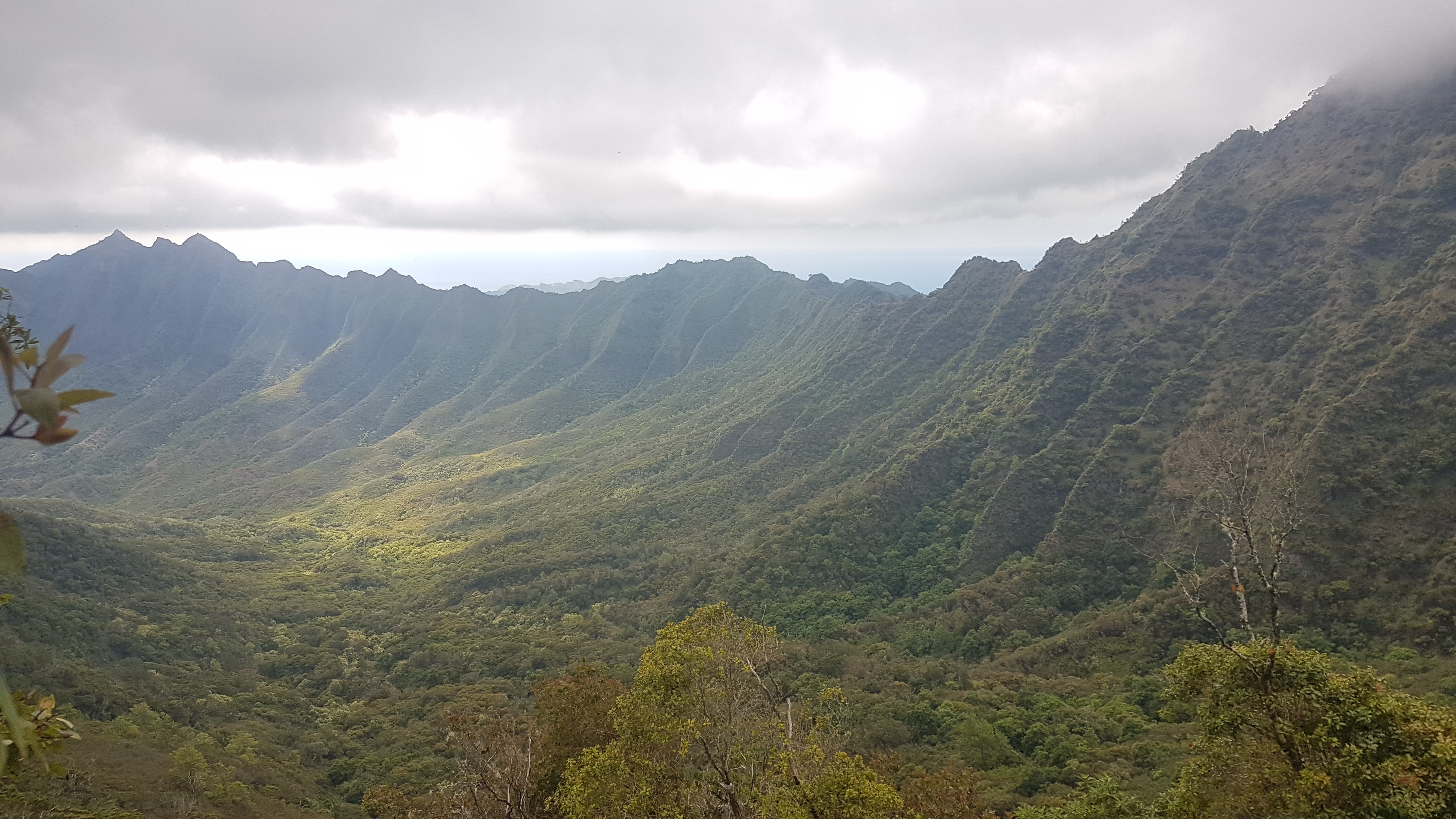 View of ridge adjacent to Mount Kaala