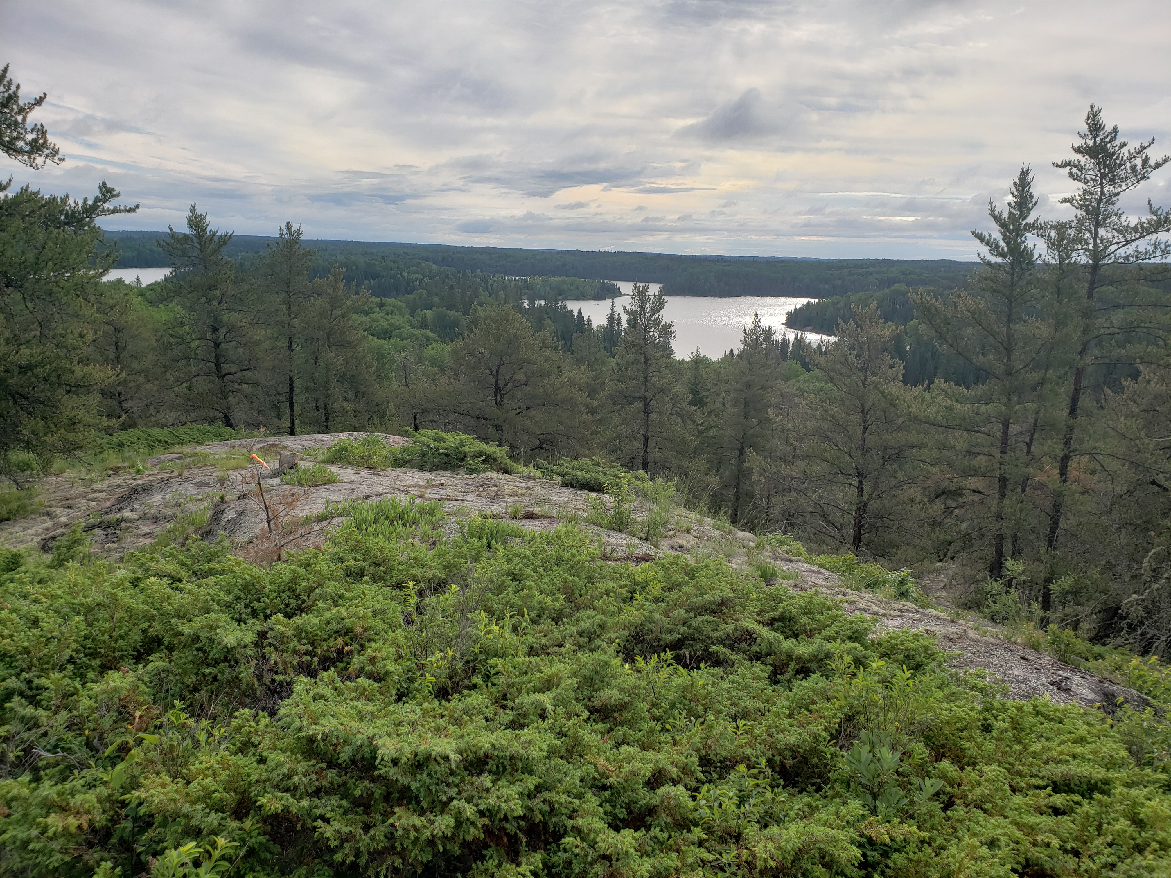 Canadian shield with lakes and forest down below