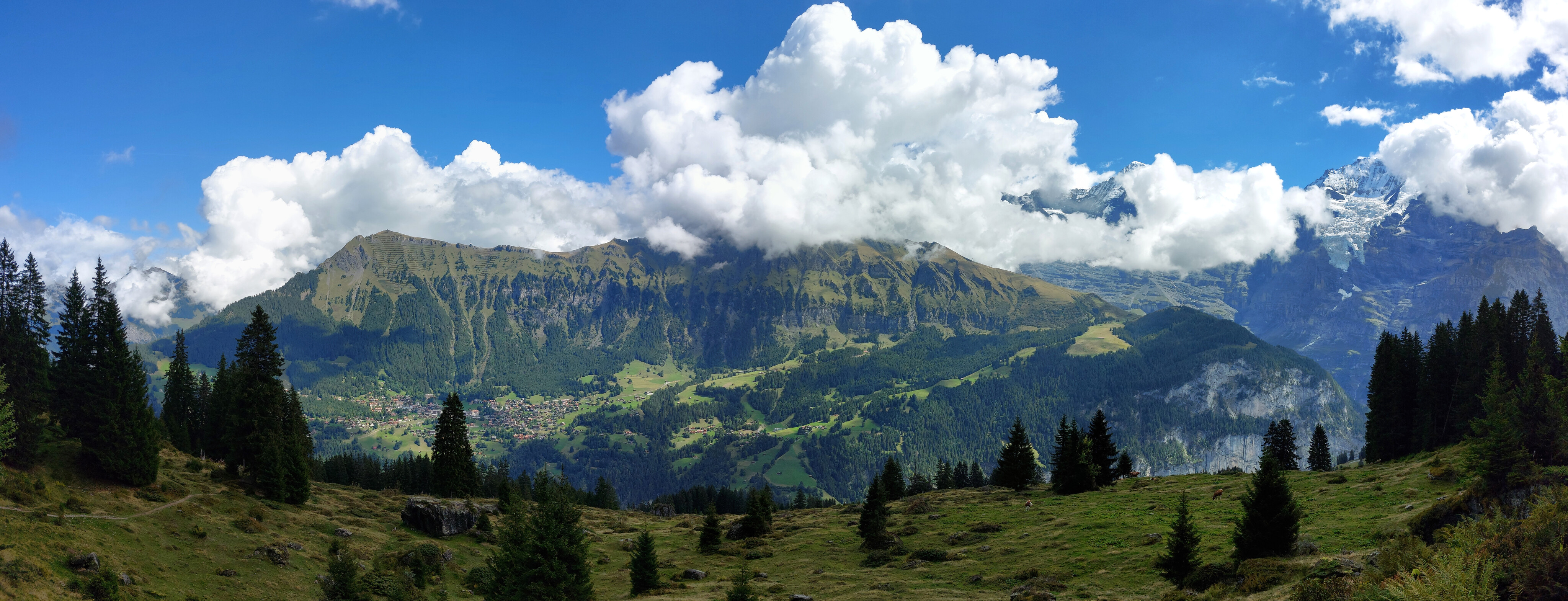 Panorama from Mountain View Trail looking at Wengen, the Jungfrai, and the Mönch