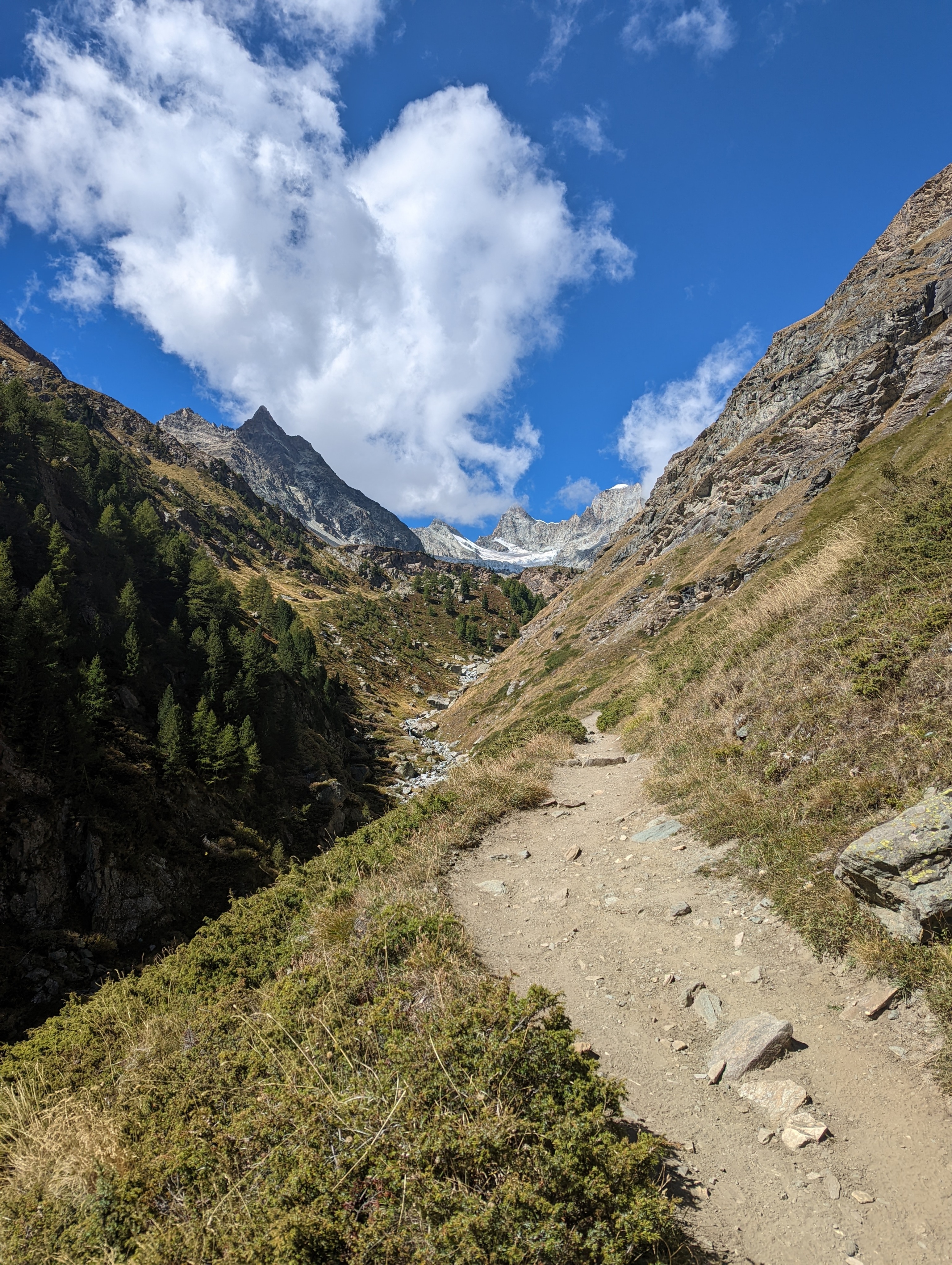 Trail leading to Trift