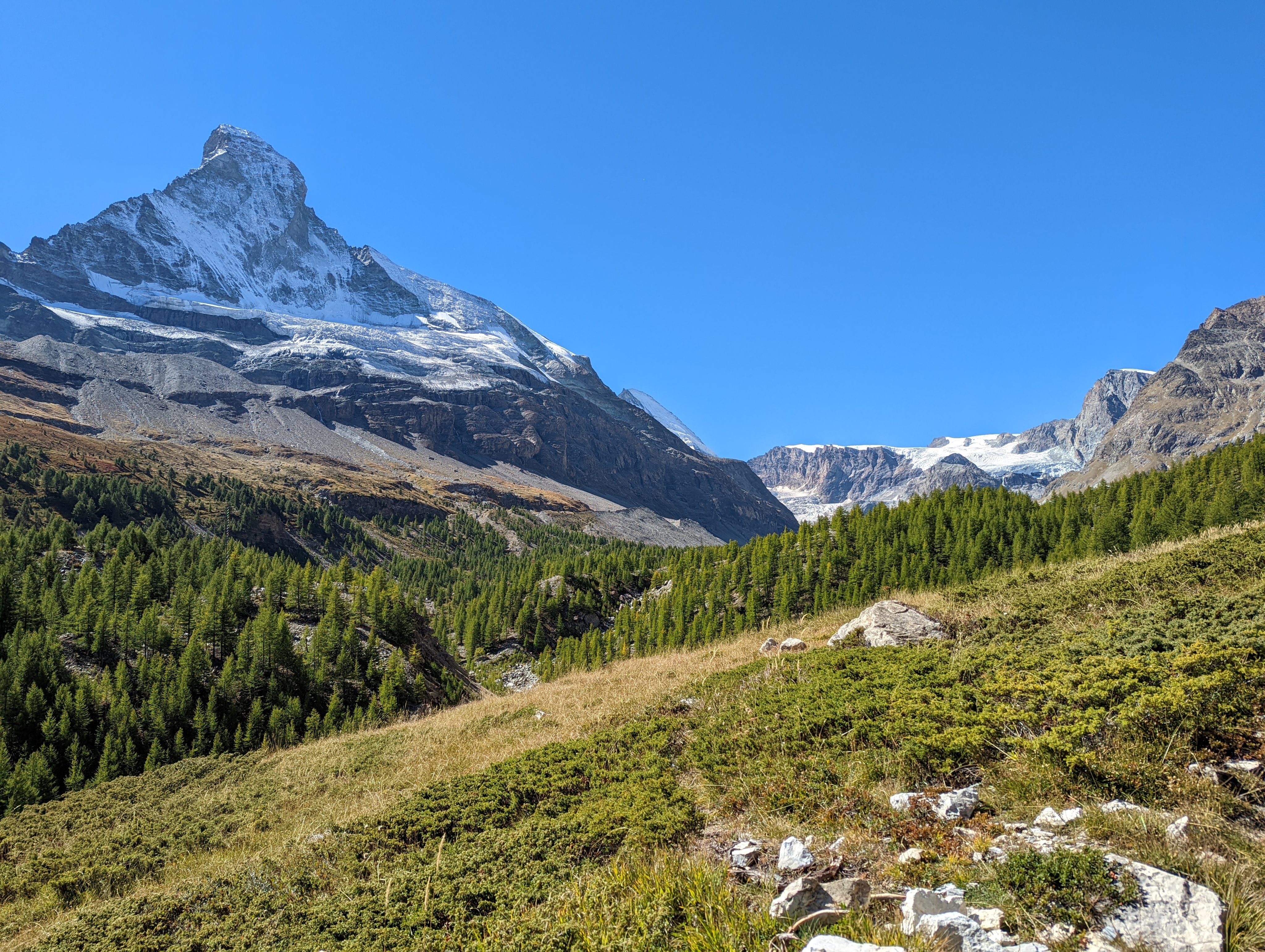 Matterhorn, forest in foreground