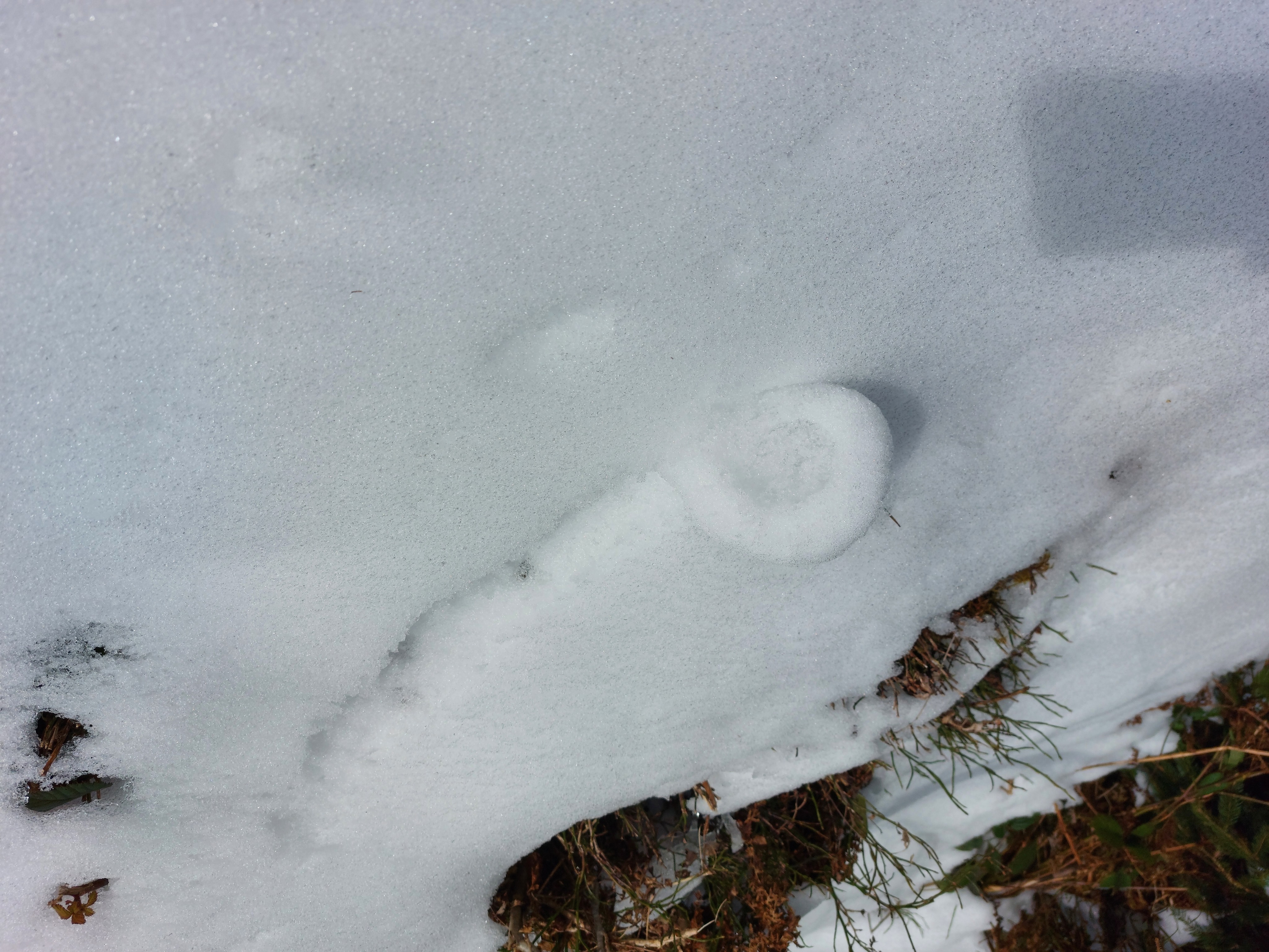 Snow rolled up into a spiral