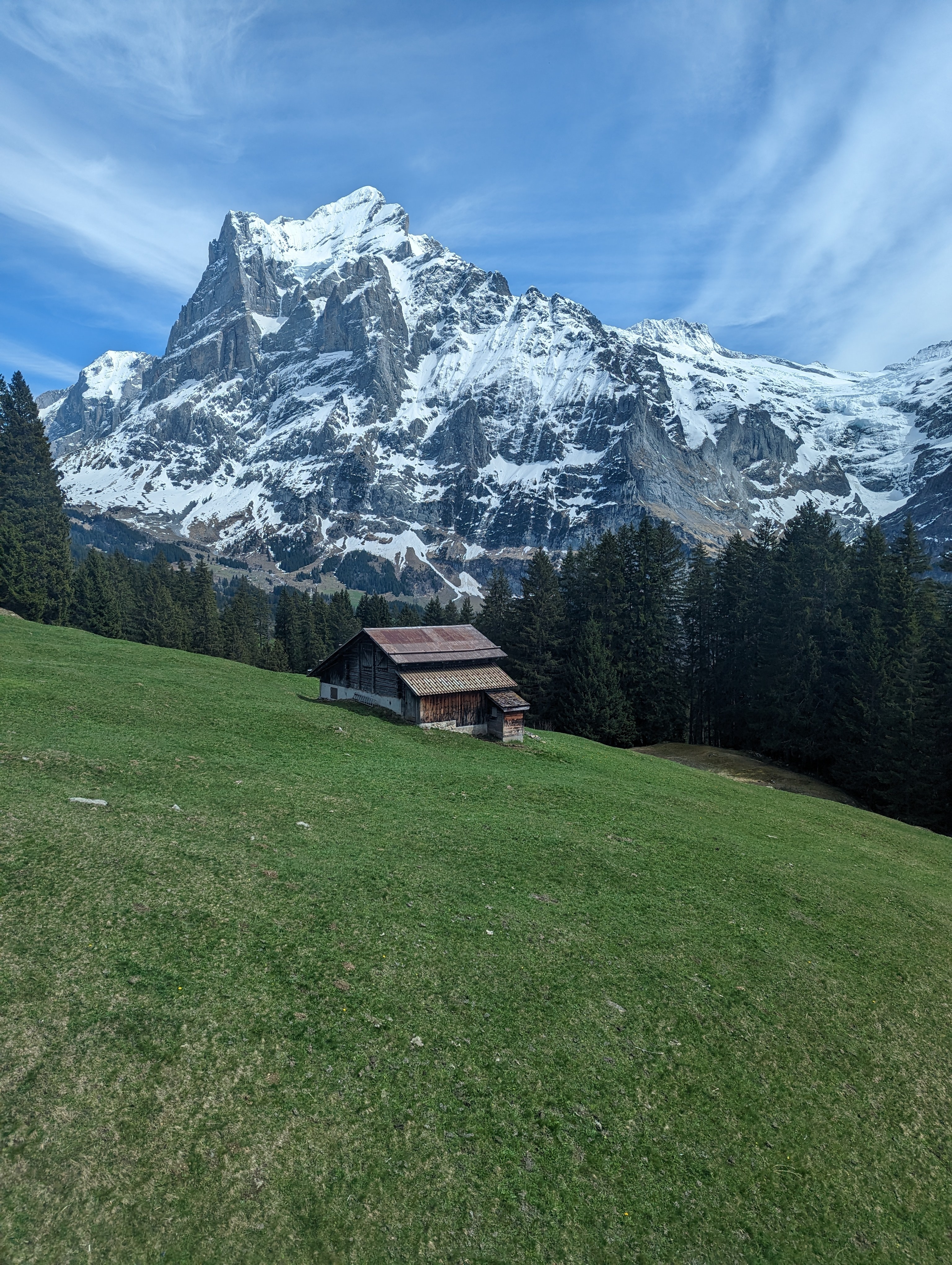 Wetterhorn with grass, trees, and cabin in foreground