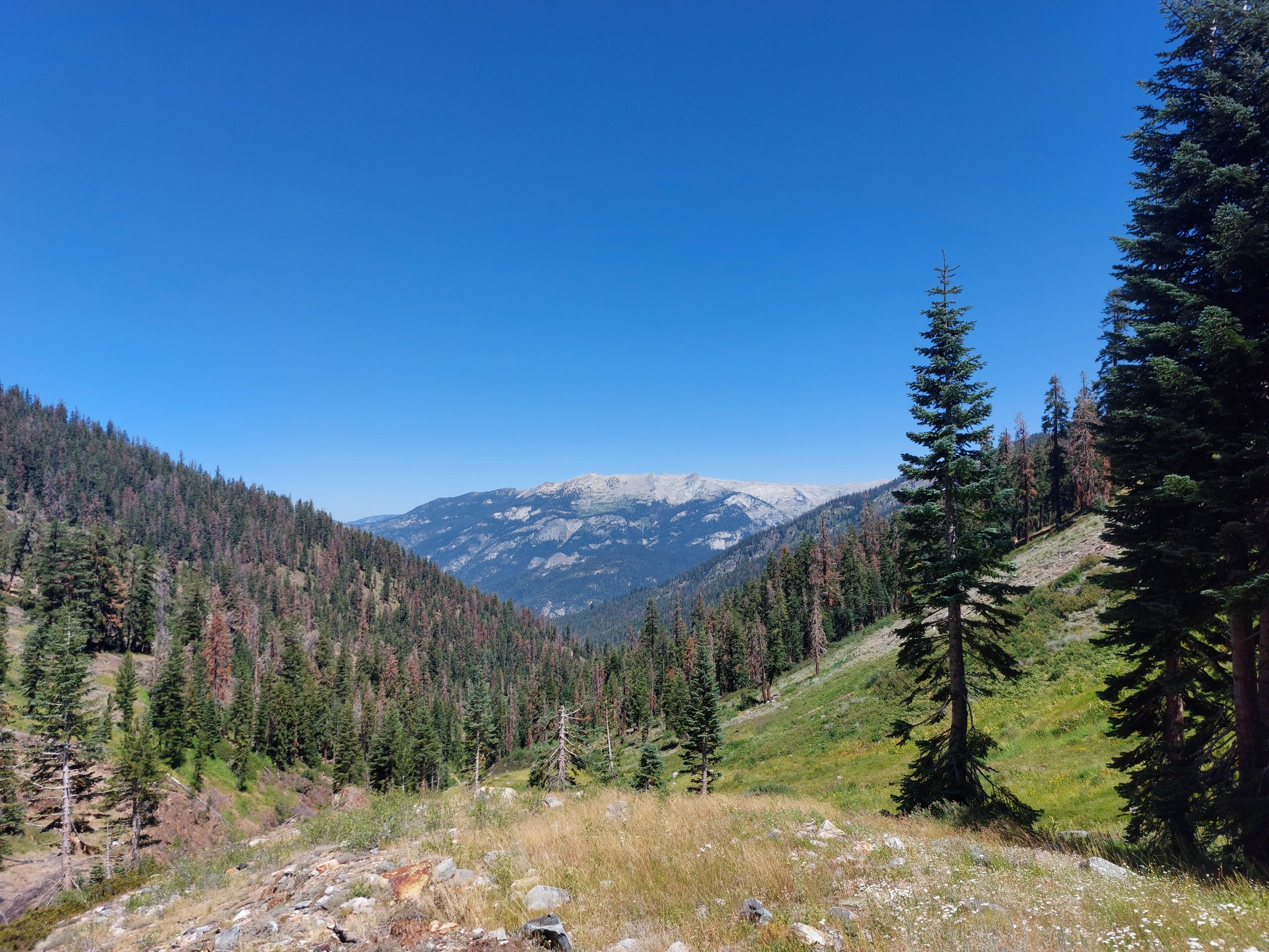 Valley north of Timber Gap with mountains in background